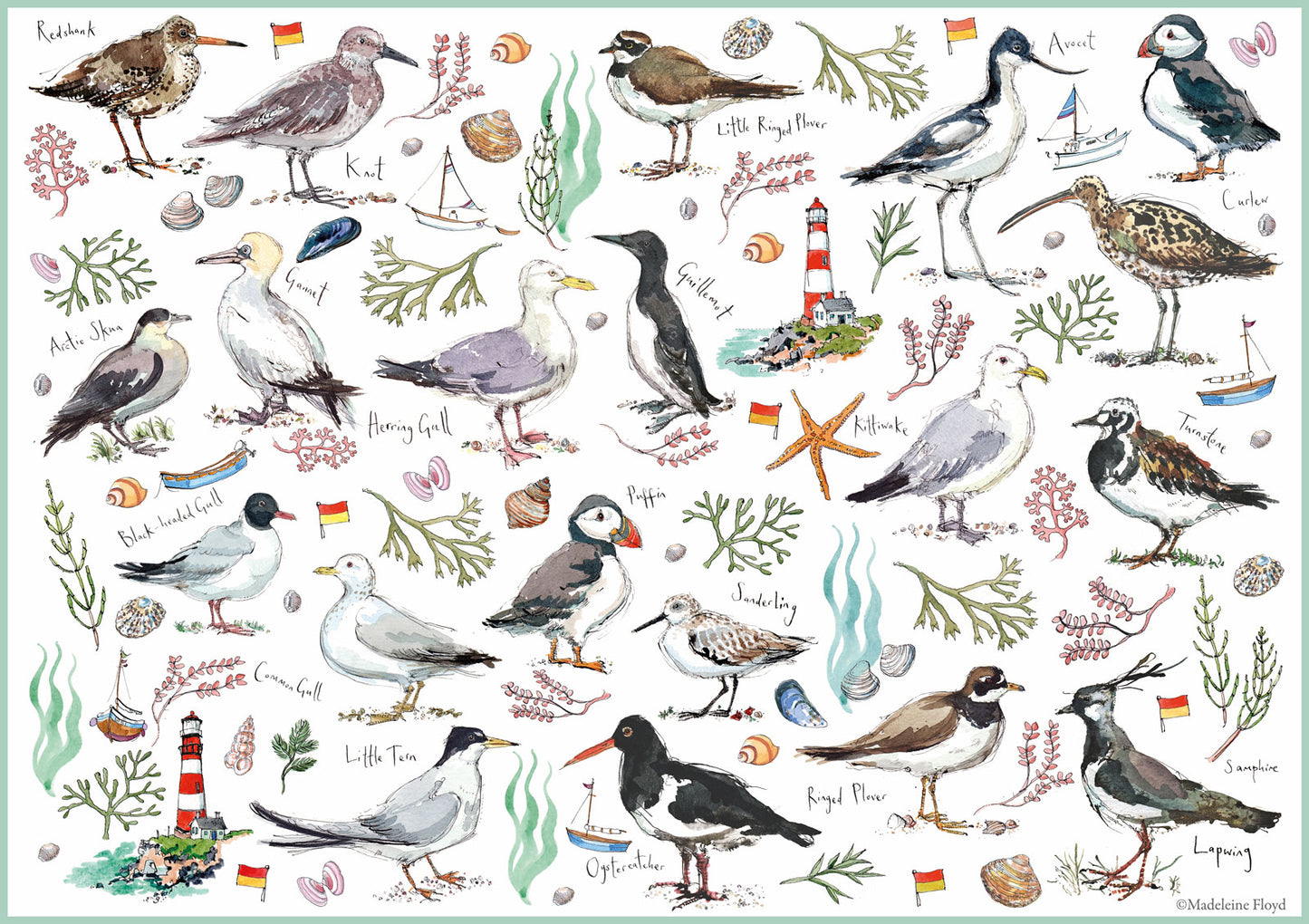 Madeleine Floyd Seabirds - 500 Piece Jigsaw Puzzle