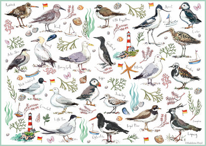 Madeleine Floyd Seabirds - 500 Piece Jigsaw Puzzle