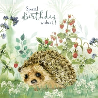 Wild & Serene Card Collection - Hedgehog