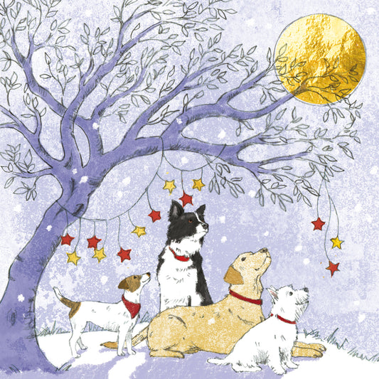 Charity Christmas Card Pack - Friends Star Gazing