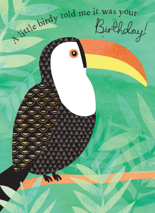 Pom Poms Card Collection - Toucan