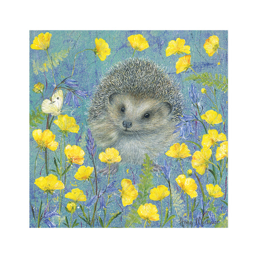 Enchanted Wildlife Card Collection - Hedgehog In Primroses