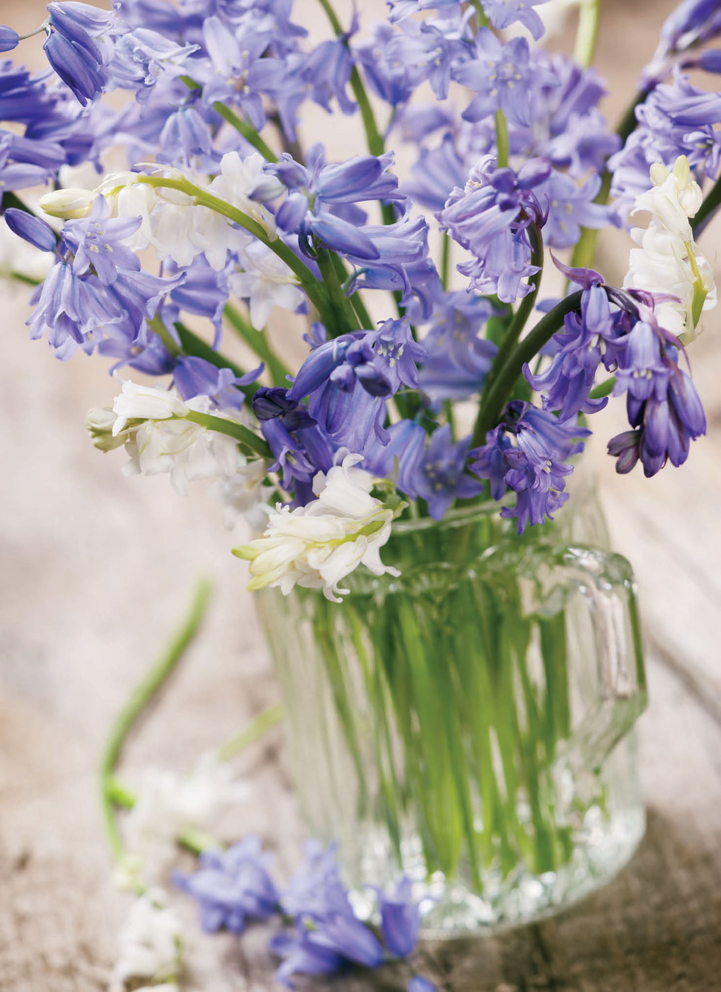 Beautiful Blanks Card - Bluebell Vase