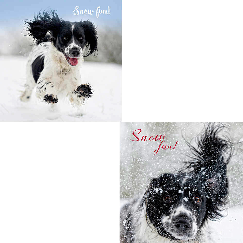 Luxury Christmas Card Pack - Snowy Springers