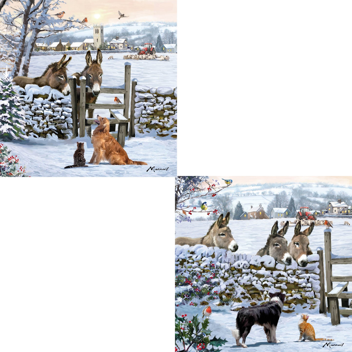 Luxury Christmas Card Pack - Donkey Encounter