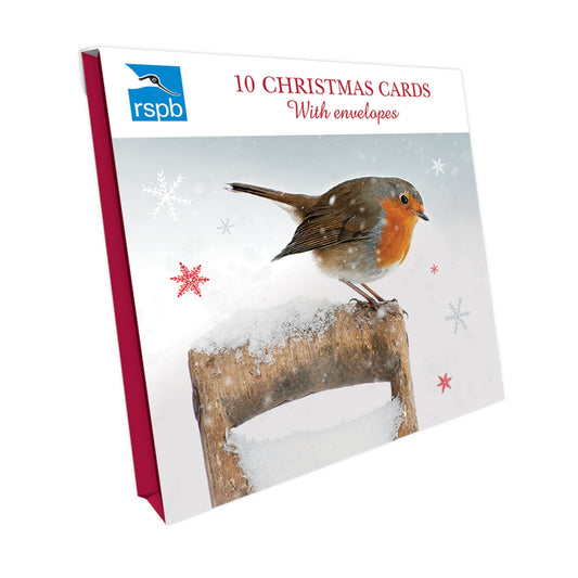 RSPB Small Square Christmas Card Pack -  Resting Robin