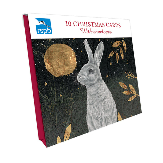 RSPB Small Square Christmas Card Pack - Hare & Moon