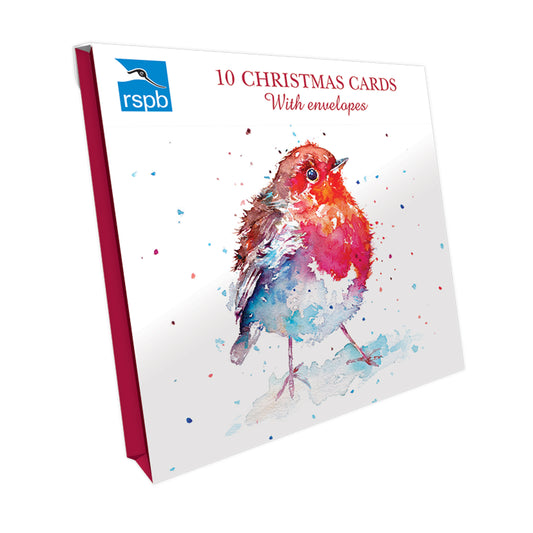 RSPB Small Square Christmas Card Pack - Festive Robin