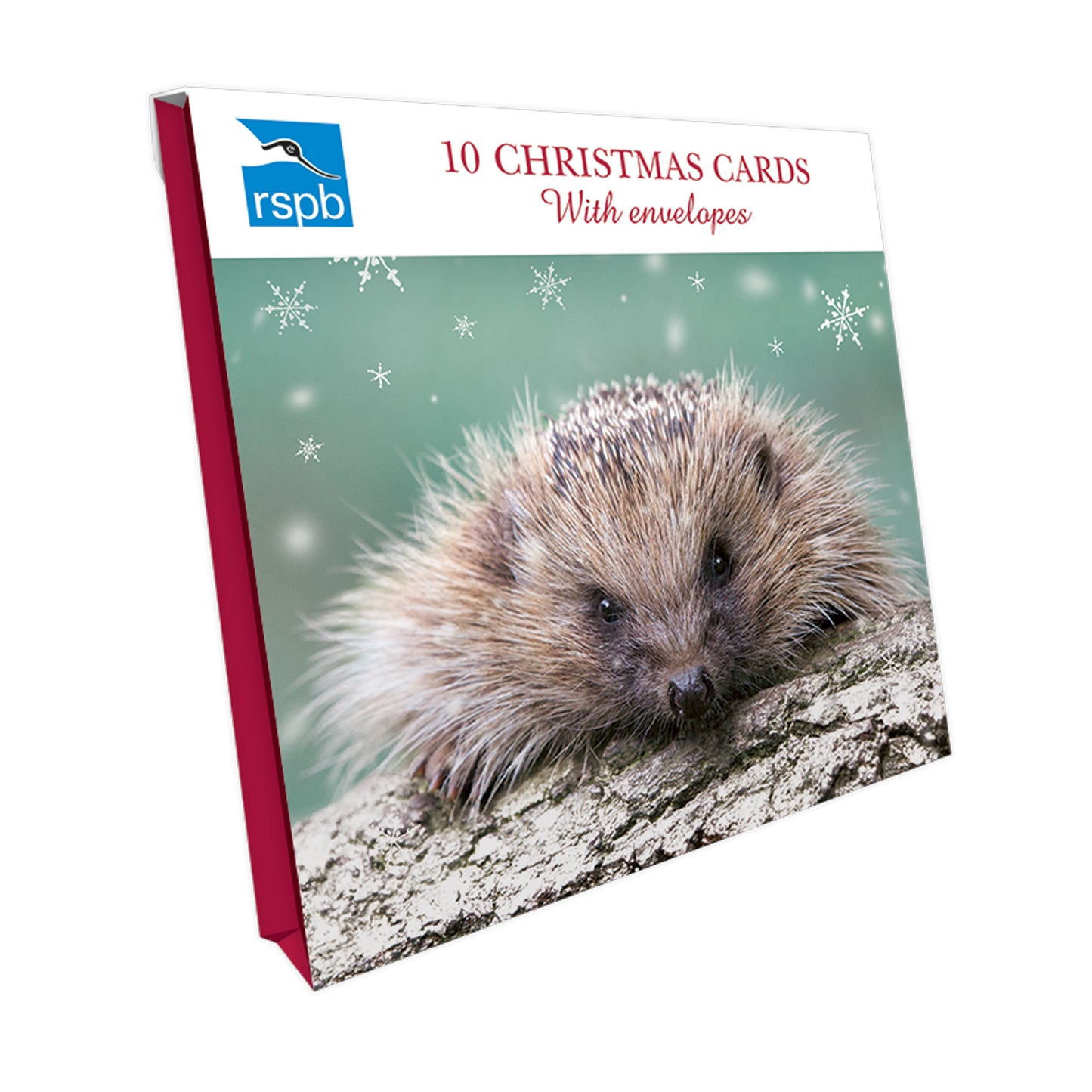 Little Hedgehog - RSPB Small Square Christmas 10 Card Pack