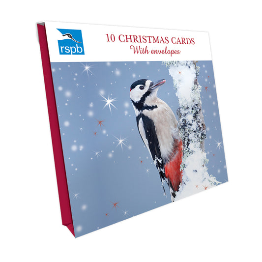 RSPB Small Square Christmas Card Pack - Snowy Woodpecker