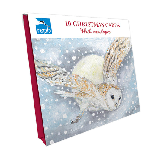 RSPB Small Square Christmas Card Pack - Owl In Flight