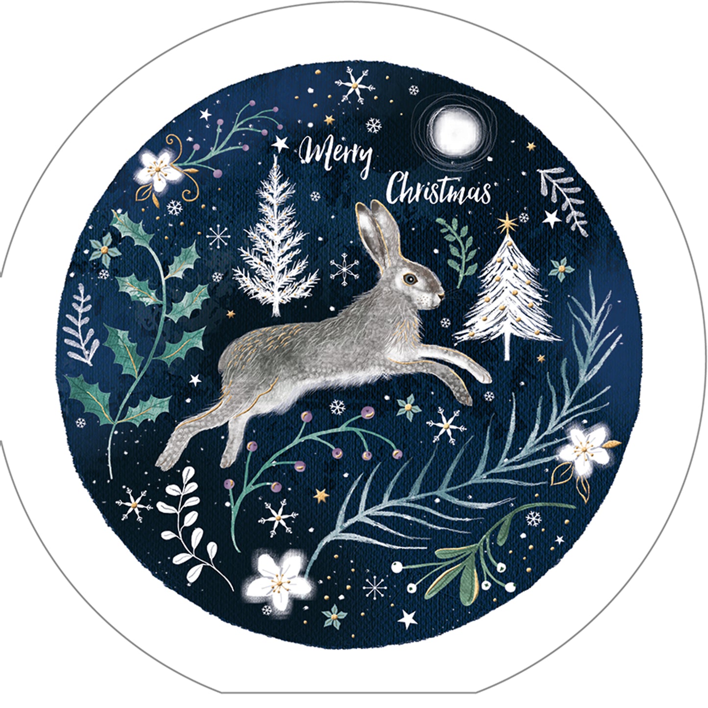 RSPB Luxury Christmas Card Pack - Moonlit Christmas