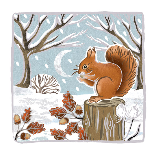 RSPB Luxury Christmas Card Pack - Woodland Wonder