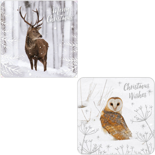 RSPB Luxury Christmas Cards (10 Cards) - Winter Wonder