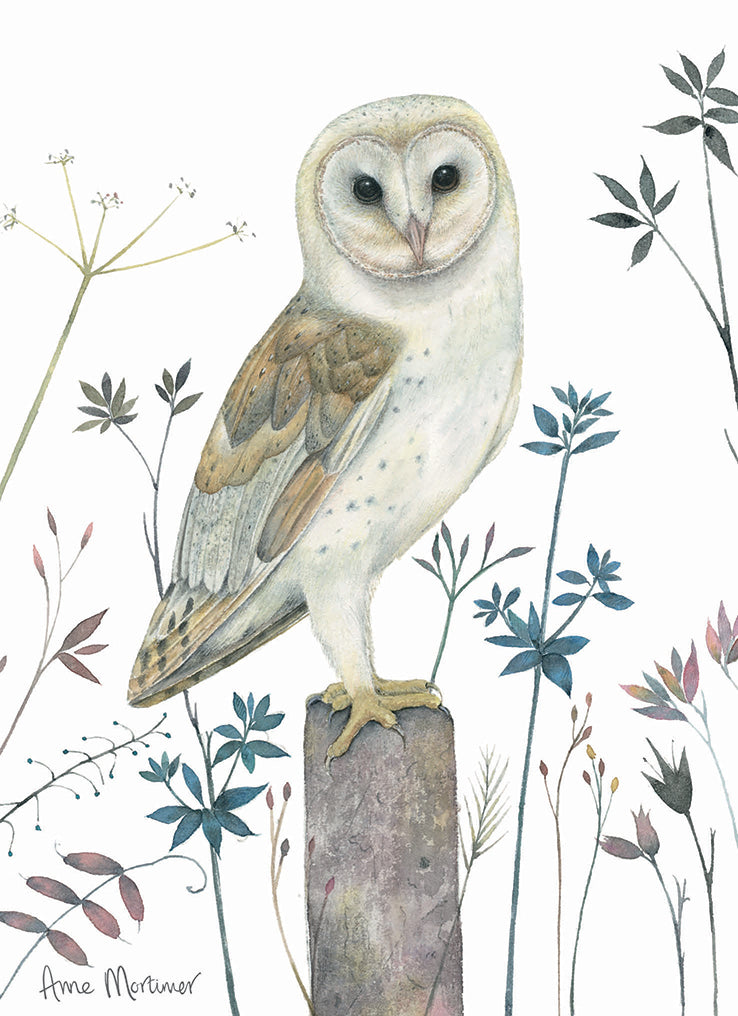 RSPB Card - In The Flowers - Watching Owl