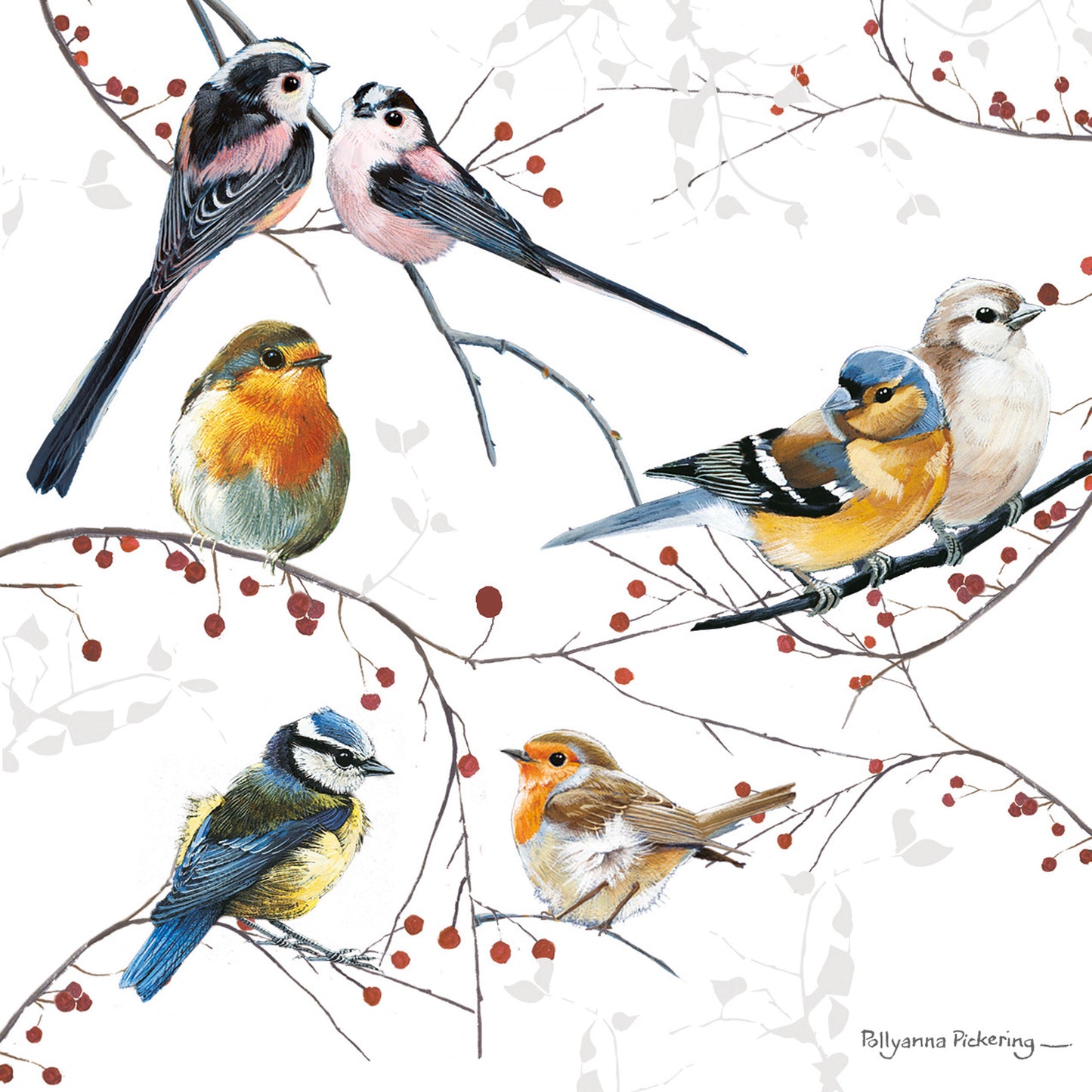 Charity Christmas Card Pack - Bird's & Berries