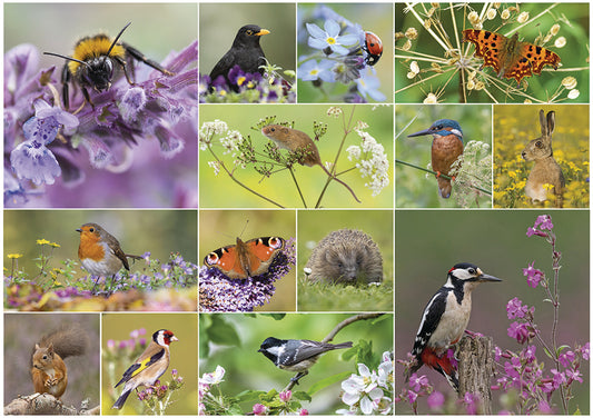 RSPB - Bird & Wildlife - 1000 Piece Jigsaw Puzzle