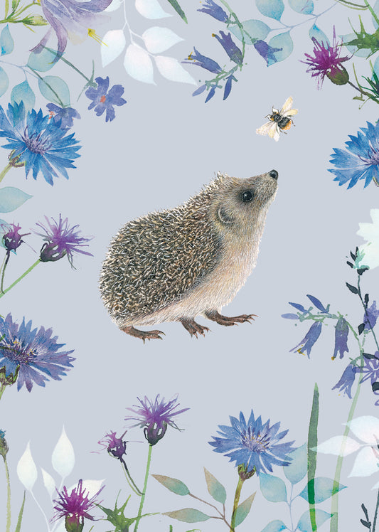 Mini Notecard Pack (6 Cards) - Hedgehog & Bee