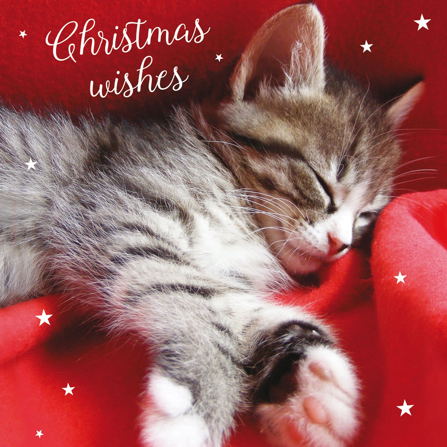 Assorted Christmas Cards - Cosy Kittens