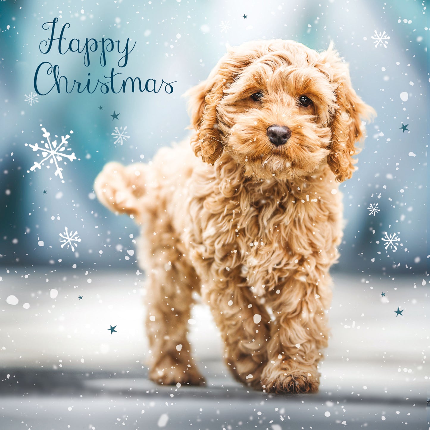 Assorted Christmas Cards - Christmas Pups