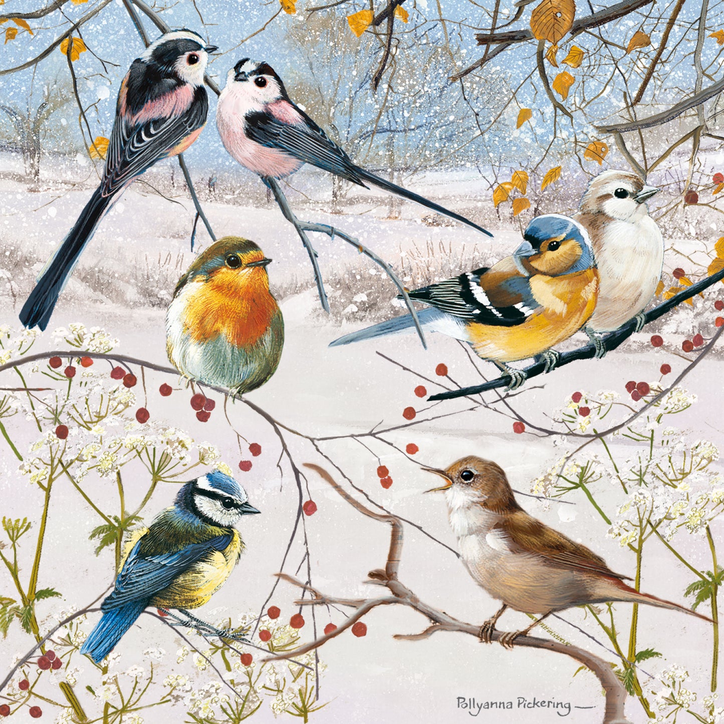 Christmas Cards - Winter Birds & Berries