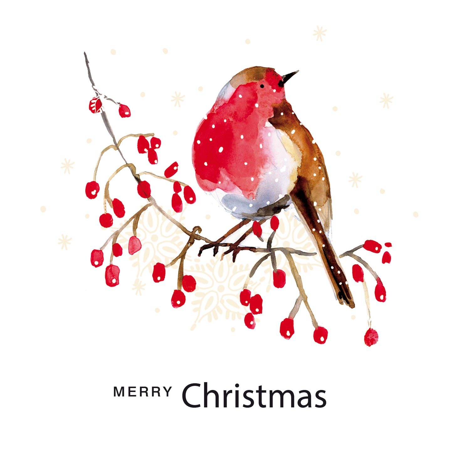 Christmas Cards - Berry Robin