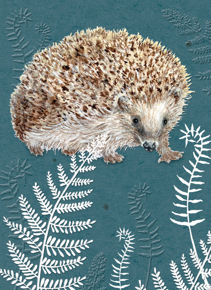 RSPB - In The Wild Card - Hedgehog