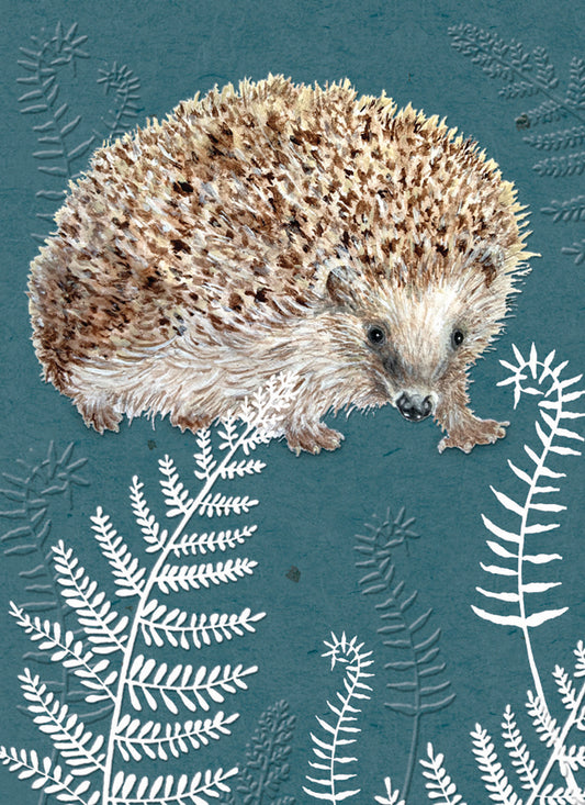 RSPB - In The Wild Card - Hedgehog