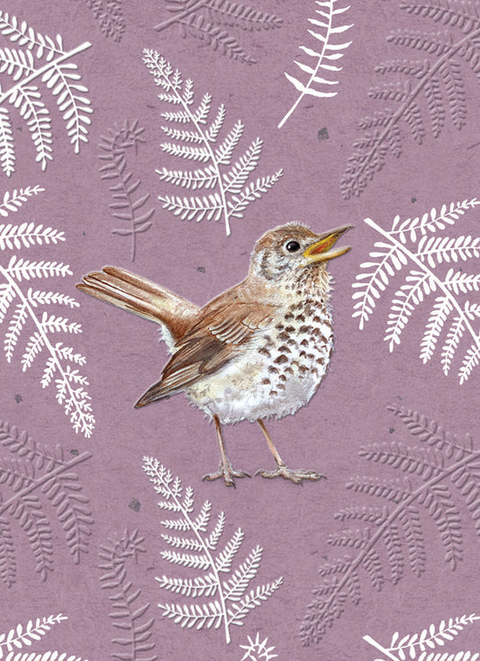 RSPB - In The Wild Card - Song Thrush