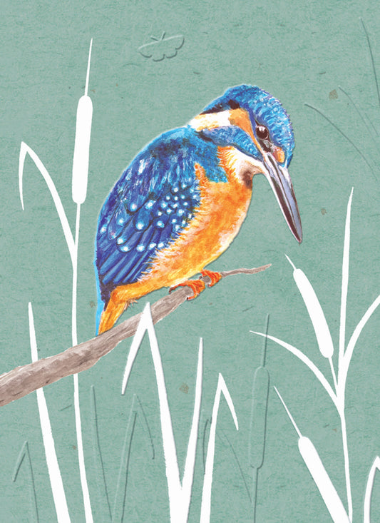 RSPB - In The Wild Card - Kingfisher