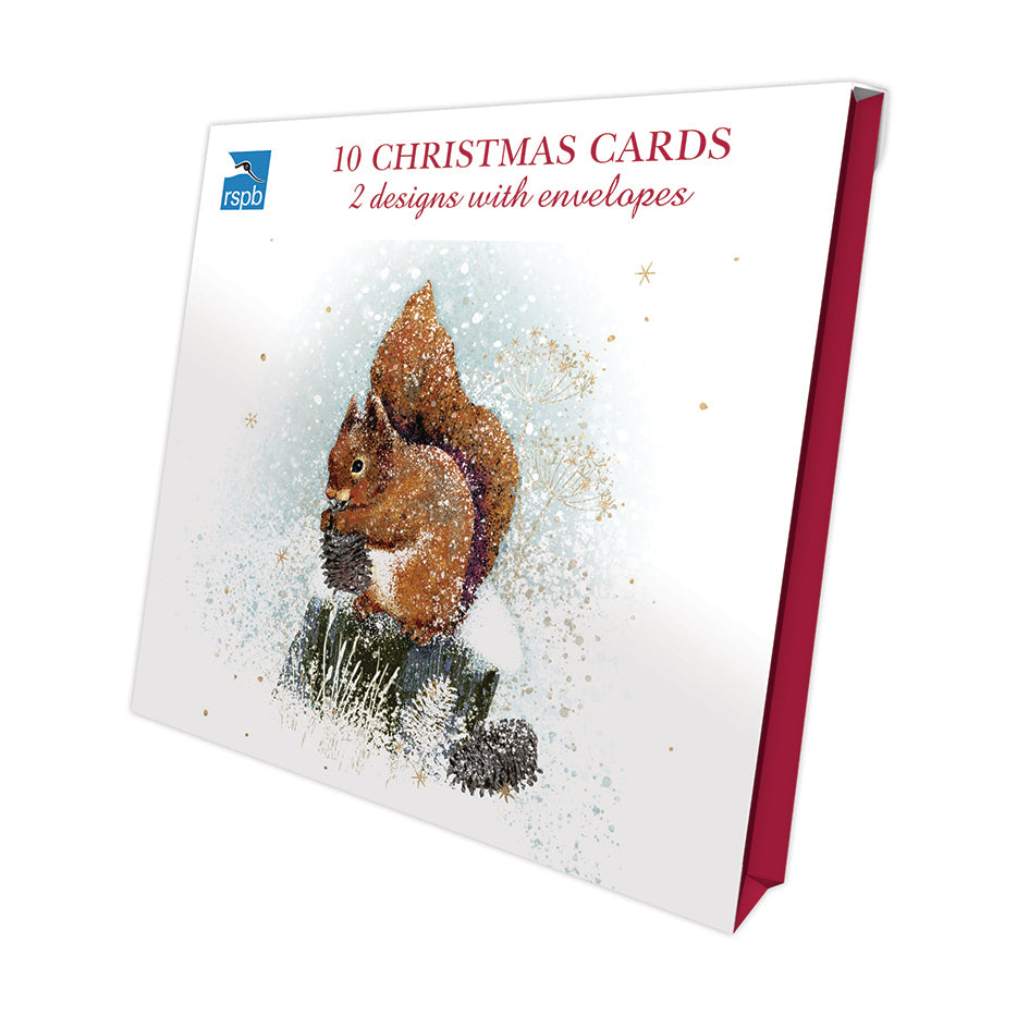 Winter Wonder - RSPB Luxury Christmas 10 Card Pack