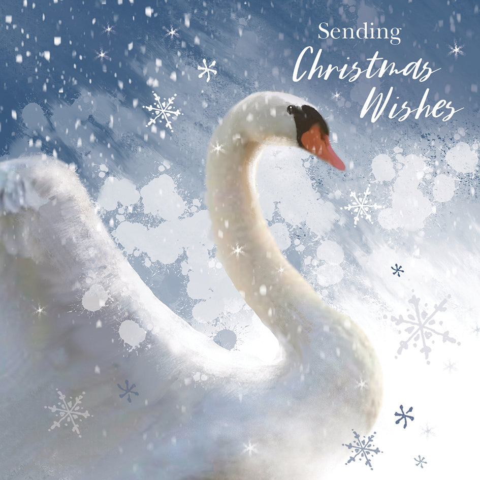 Sparkle Swan - RSPB Small Square Christmas 10 Card Pack