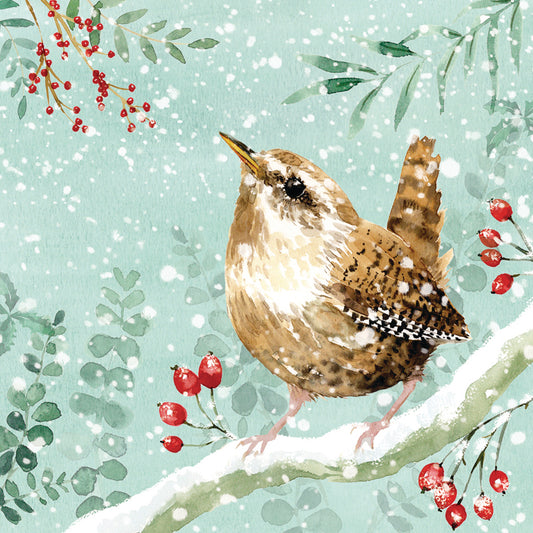 Little Wren - RSPB Small Square Christmas 10 Card Pack