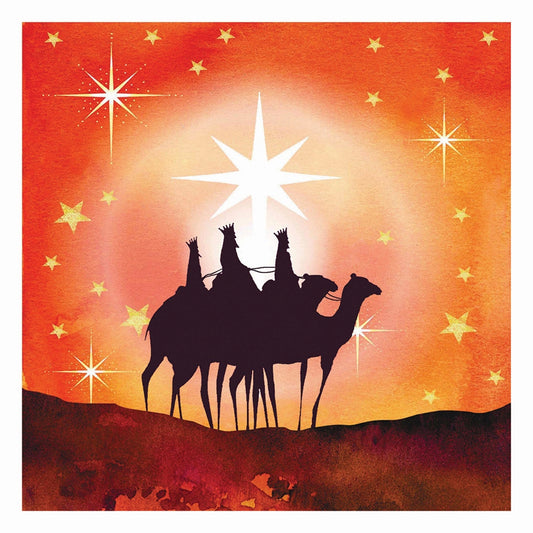 Star Of Wonder - RSPB Small Square Christmas 10 Card Pack