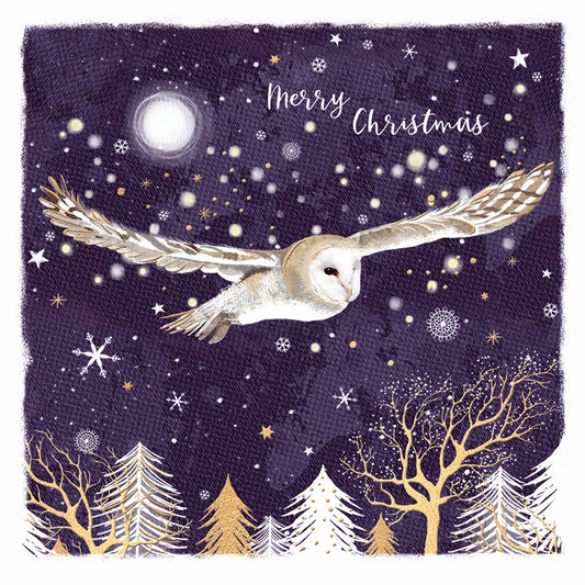 Owl & Forest - RSPB Small Square Christmas 10 Card Pack