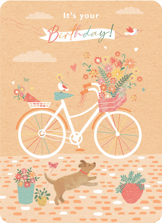 Beautiful Moments Card Collection - Bicycle