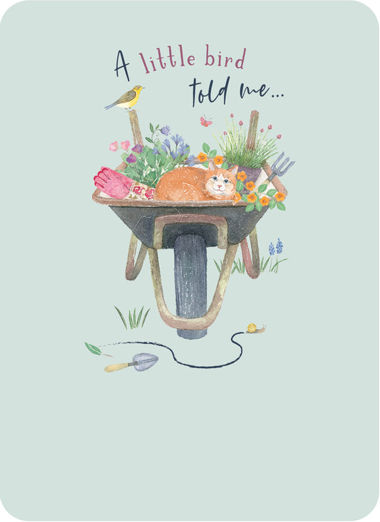 Beautiful Moments Card Collection - Wheelbarrow & Cat