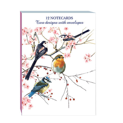 Notecard Pack (12 Cards) - Birds, Blossom & Berries