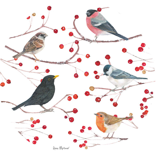 Luxury Christmas Card Pack - Birds & Branches