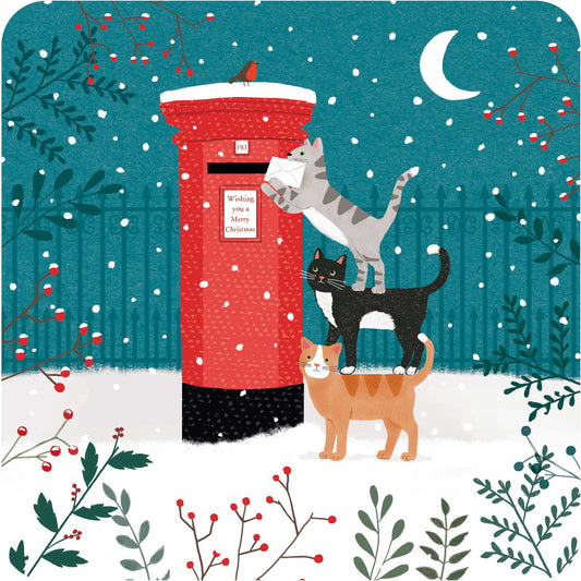 Luxury Christmas Card Pack - Moonlight Cats