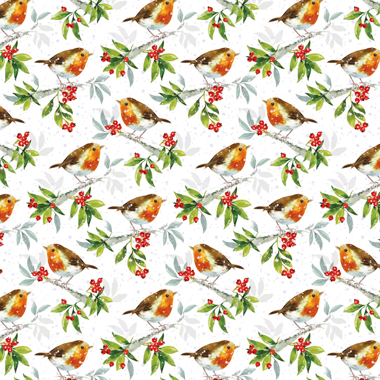 Christmas Wrap & Tags - Holly Robins (10 Sheets & 10 Tags)