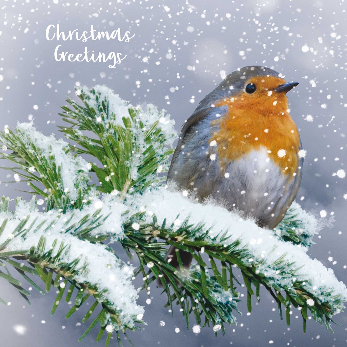 Assorted Christmas Cards - Birds in the Snow