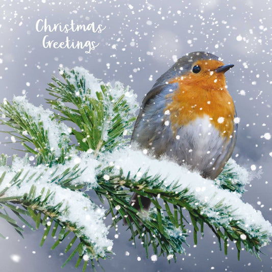 Assorted Christmas Cards - Birds in the Snow