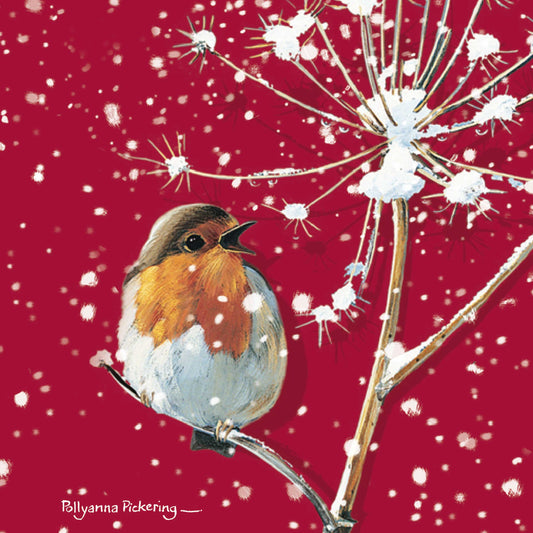 Assorted Christmas Cards - Red Robin