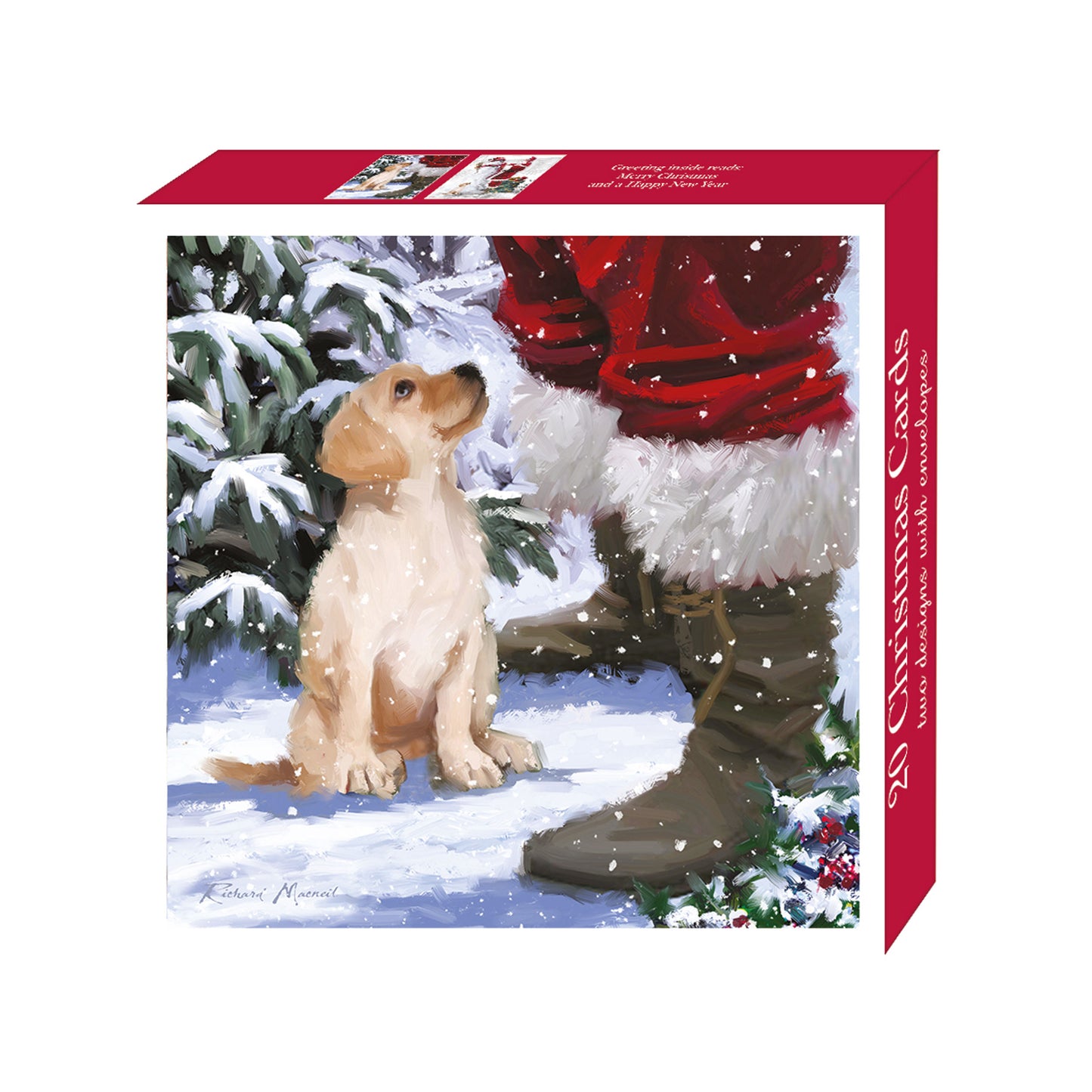 Assorted Christmas Cards - Santa's Friend