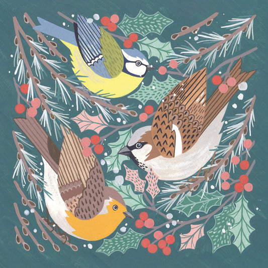 Christmas Birds - RSPB Luxury Christmas 10 Card Pack