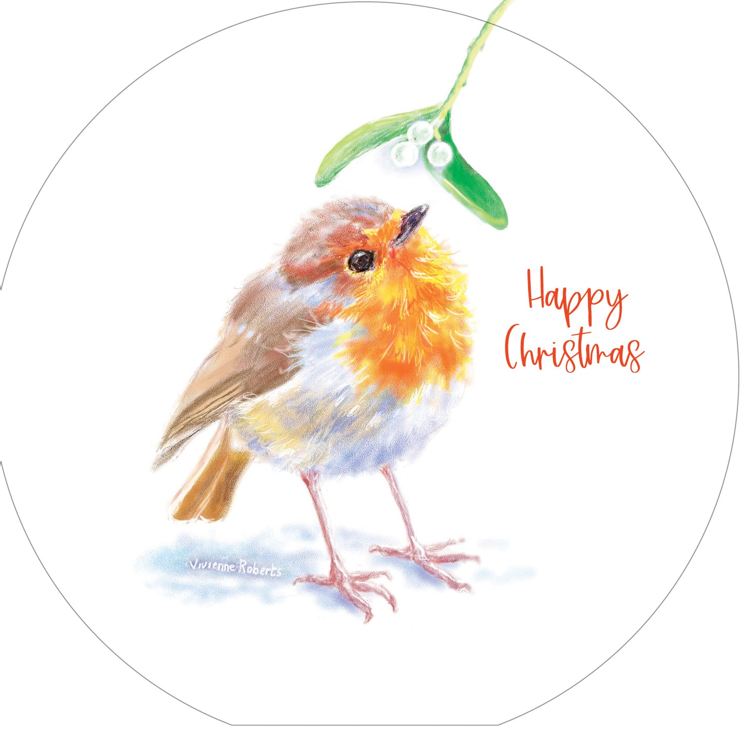 Inquisitive Robins - RSPB Luxury Christmas 10 Card Pack