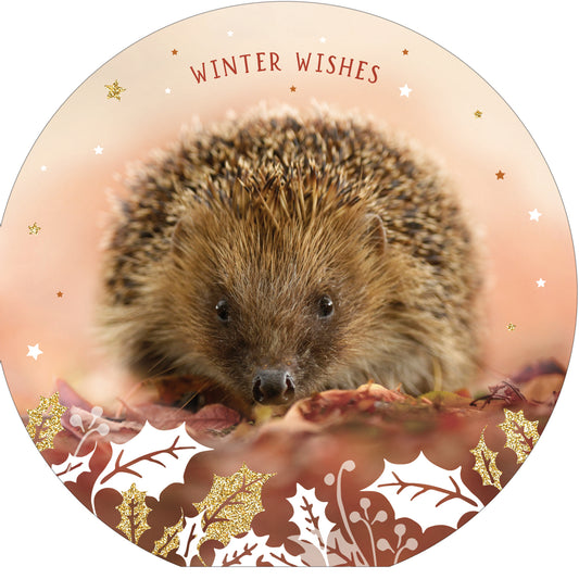 Winter Creatures - RSPB Luxury Christmas 10 Card Pack