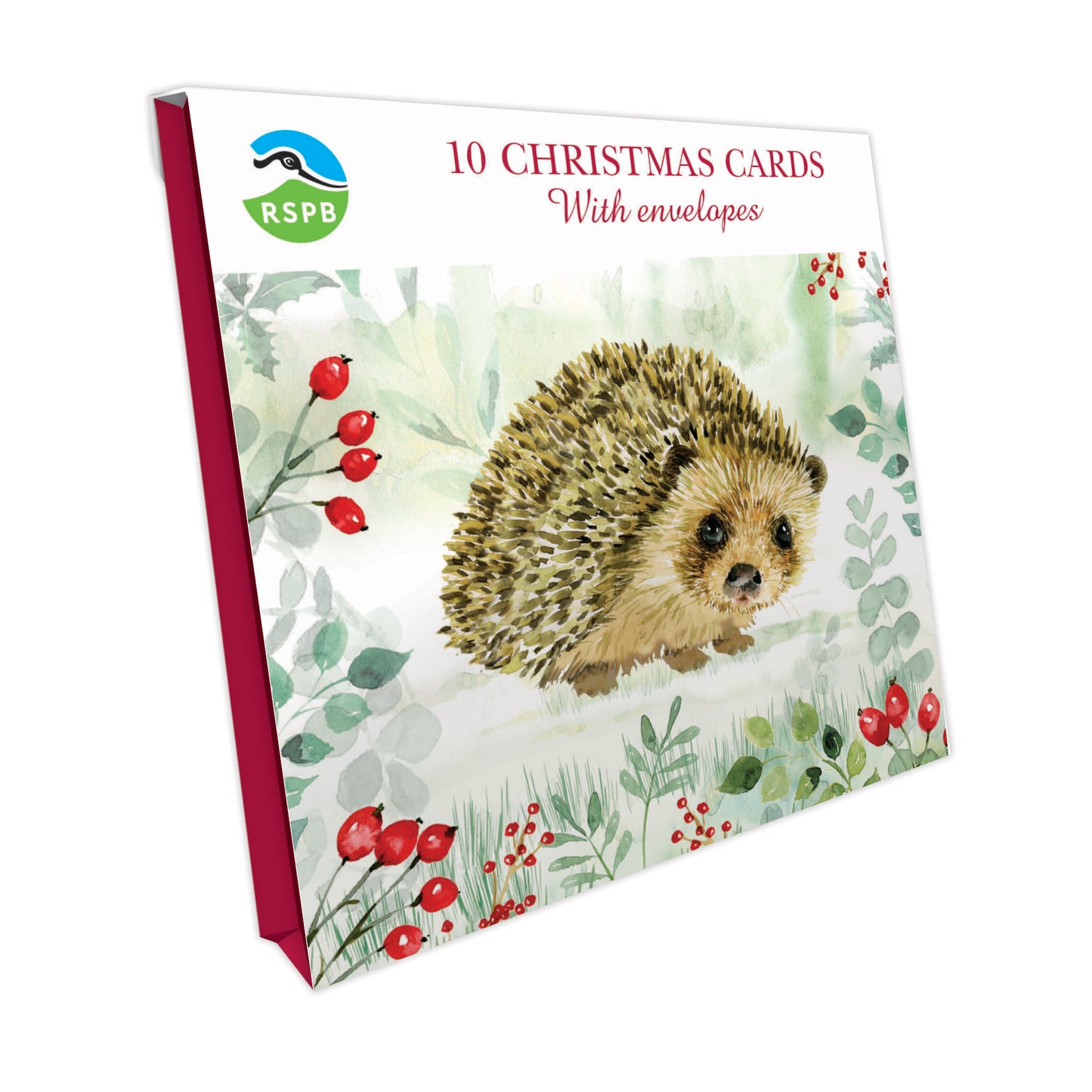 Hedgehog & Berries - RSPB Small Square Christmas 10 Card Pack