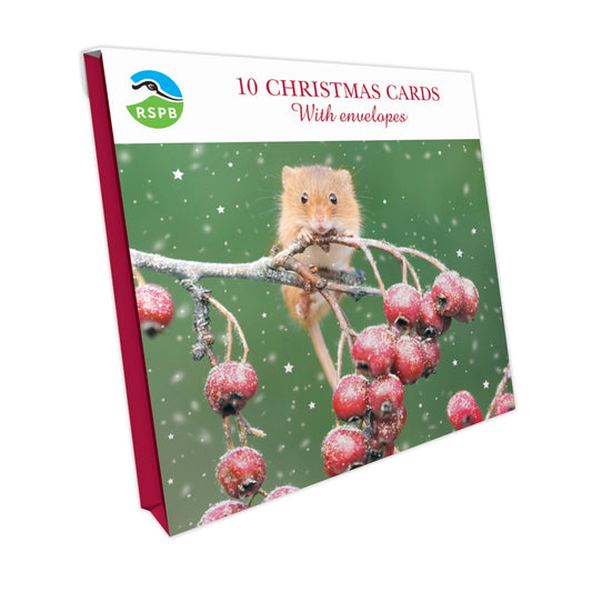 Mouse & Berries - RSPB Small Square Christmas 10 Card Pack